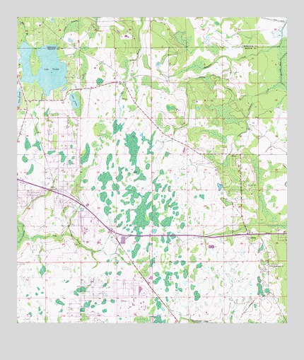 Bithlo, FL USGS Topographic Map