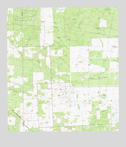 Seeligson Ranch, TX USGS Topographic Map