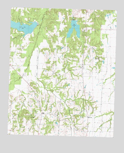 Selfs, TX USGS Topographic Map