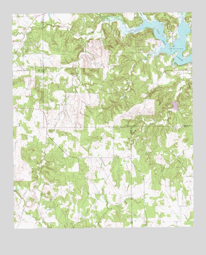 Selma, TX USGS Topographic Map