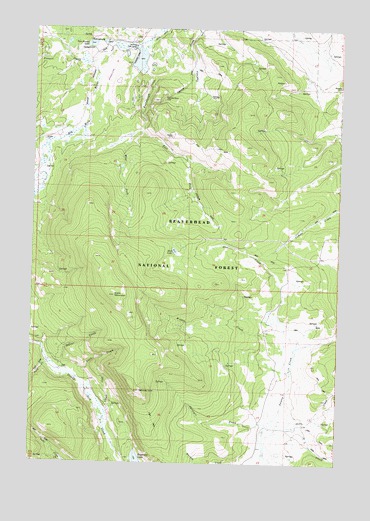 Selway Mountain, MT USGS Topographic Map