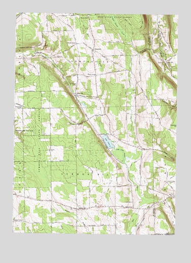 Sempronius, NY USGS Topographic Map