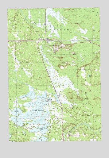 Seney, MI USGS Topographic Map