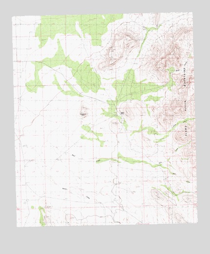 Sentinel Butte, NM USGS Topographic Map