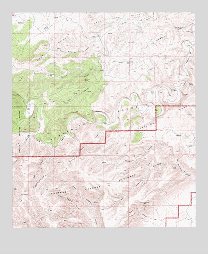 Serpentine Bends, NM USGS Topographic Map