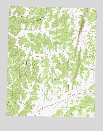 Bixler Ranch, NM USGS Topographic Map