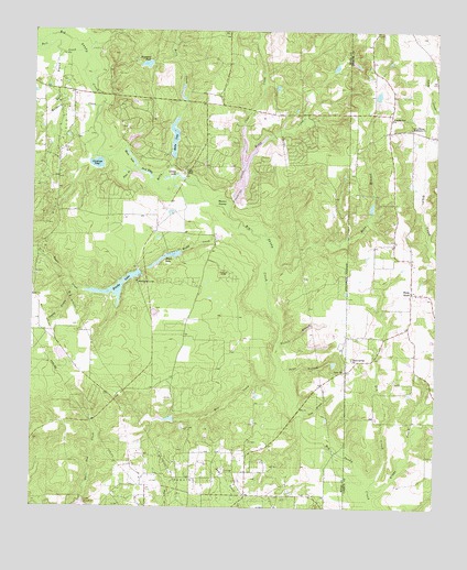Shady Grove, TX USGS Topographic Map