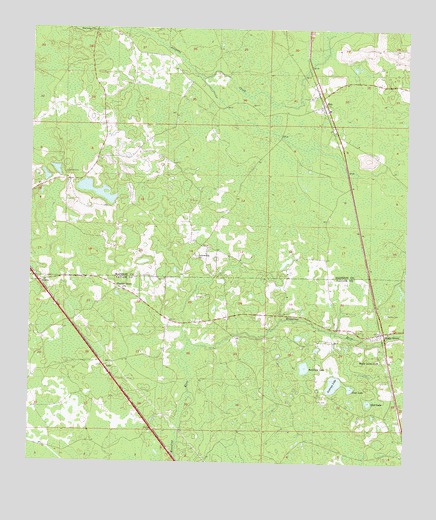 Shady Grove, FL USGS Topographic Map