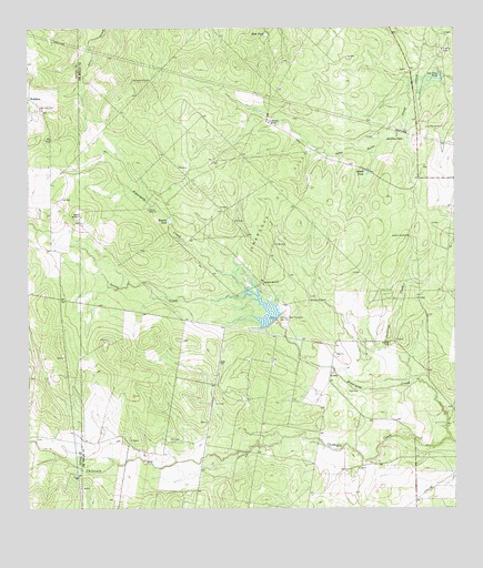 Shaeffer Ranch, TX USGS Topographic Map