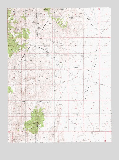 Shagnasty, NV USGS Topographic Map