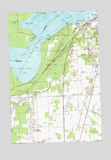 Shallows, MI USGS Topographic Map