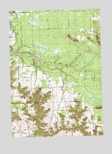 Shamrock, WI USGS Topographic Map