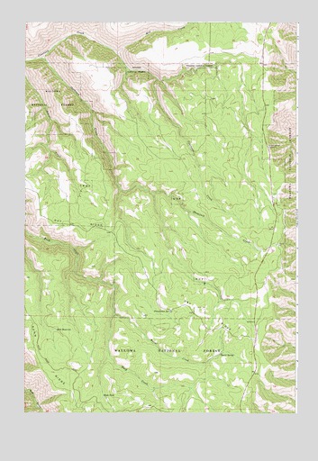 Shamrock Creek, OR USGS Topographic Map