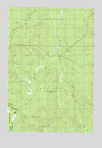 Black Brook, ME USGS Topographic Map