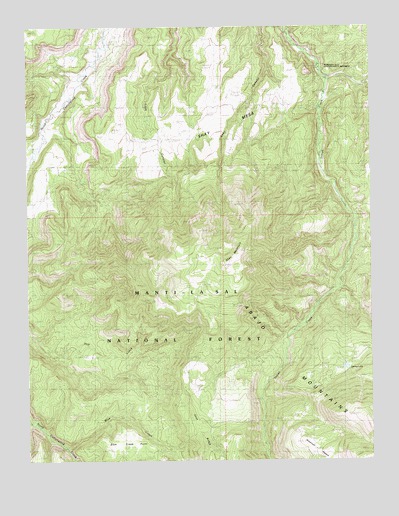 Shay Mountain, UT USGS Topographic Map