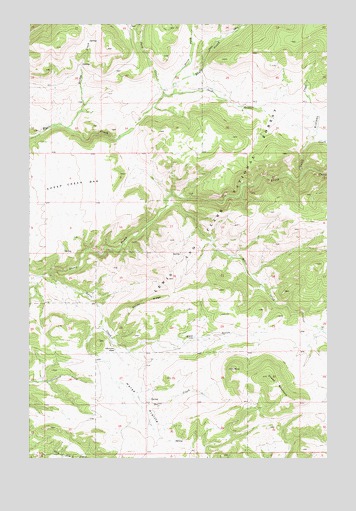 Sheep Mountain, MT USGS Topographic Map
