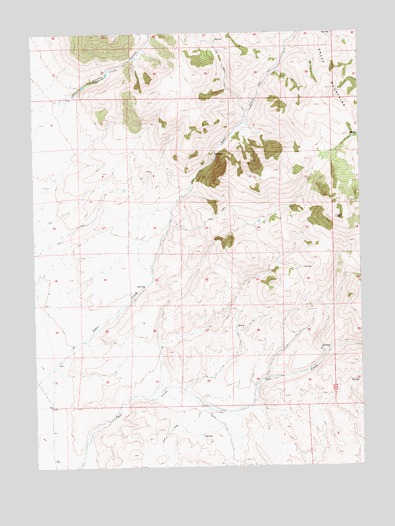 Black Butte NE, NV USGS Topographic Map