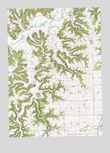 Sheldon, MN USGS Topographic Map