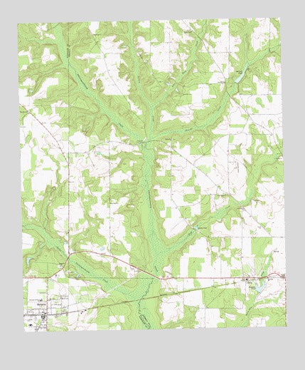 Shellman, GA USGS Topographic Map