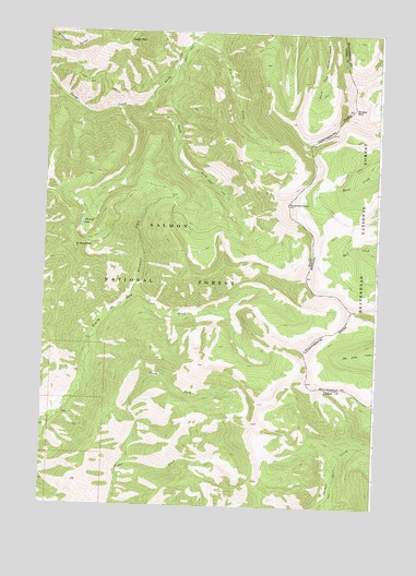 Shewag Lake, ID USGS Topographic Map