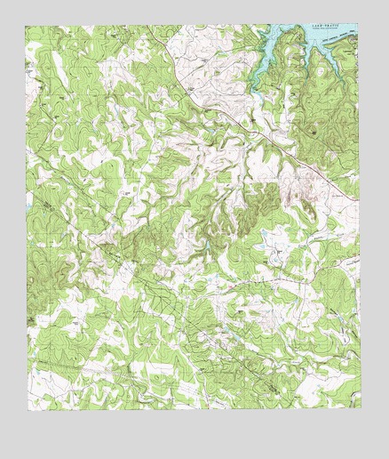 Shingle Hills, TX USGS Topographic Map