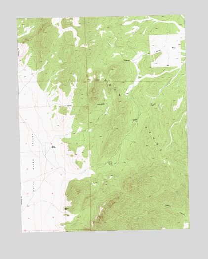 Shingle Pass, NV USGS Topographic Map