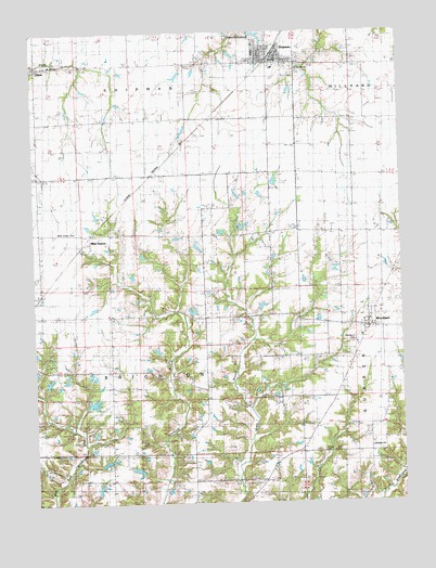Shipman, IL USGS Topographic Map