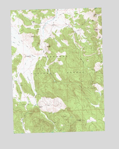 Shoestring Butte, OR USGS Topographic Map