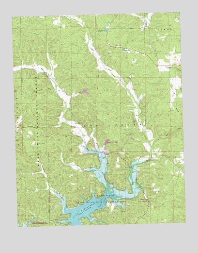 Shook, MO USGS Topographic Map