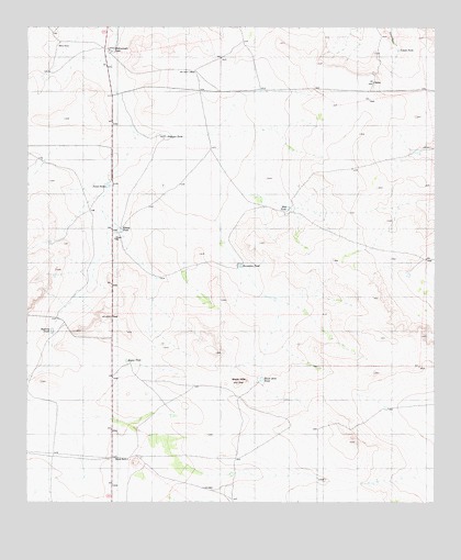 Black Hills, TX USGS Topographic Map