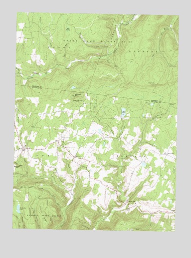 Shunk, PA USGS Topographic Map