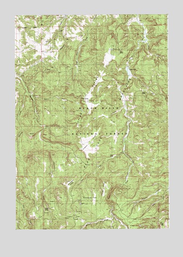 Black Hills, WY USGS Topographic Map