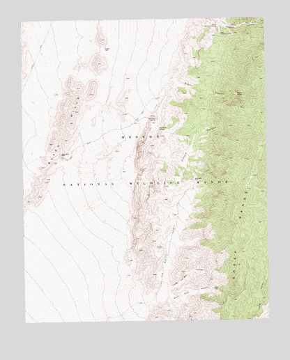 Black Hills, NV USGS Topographic Map