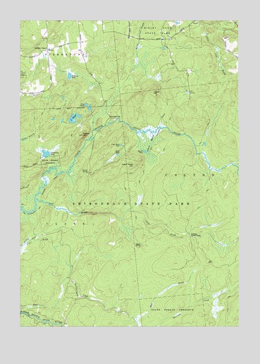 Albert Marsh, NY USGS Topographic Map