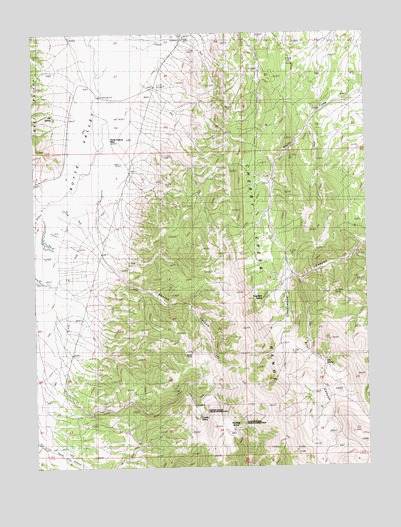 Silo Canyon, NV USGS Topographic Map