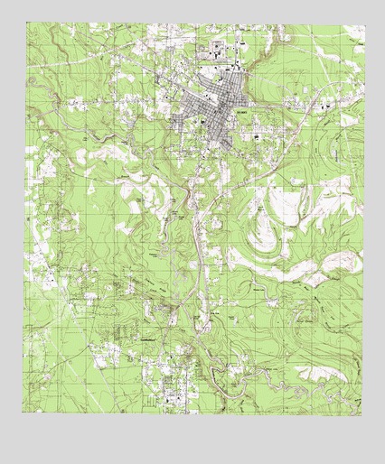 Silsbee, TX USGS Topographic Map