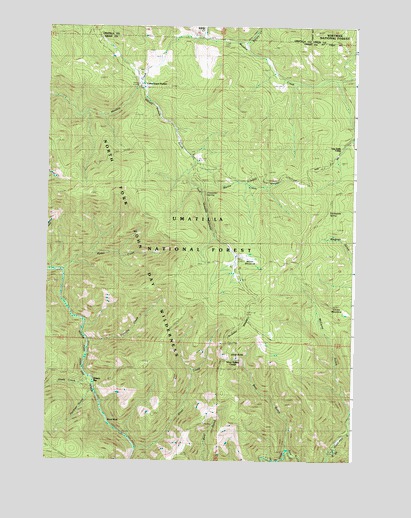 Silver Butte, OR USGS Topographic Map