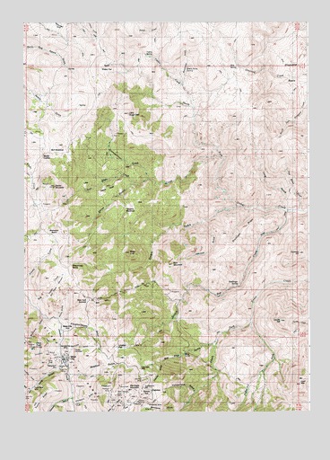 Silver City, ID USGS Topographic Map