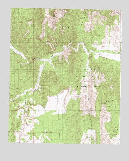 Silver Creek, NM USGS Topographic Map