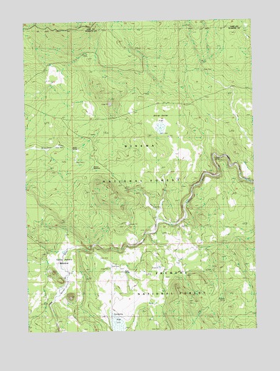 Silver Dollar Flat, OR USGS Topographic Map