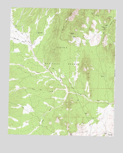 Silver Hill, NM USGS Topographic Map