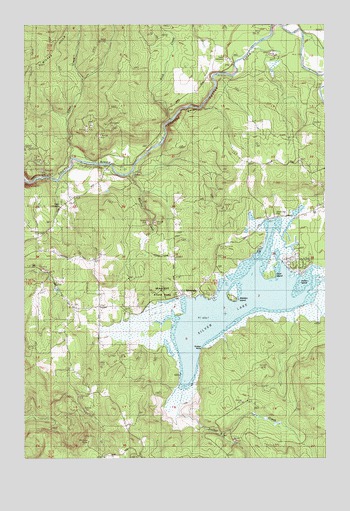Silver Lake, WA USGS Topographic Map