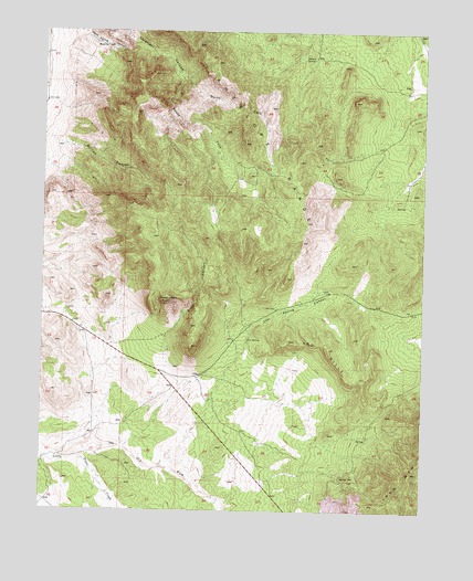 Silver Peak, UT USGS Topographic Map