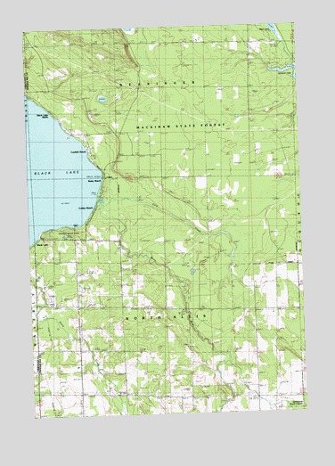 Black Lake Bluffs, MI USGS Topographic Map