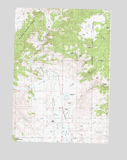 Silvies, OR USGS Topographic Map