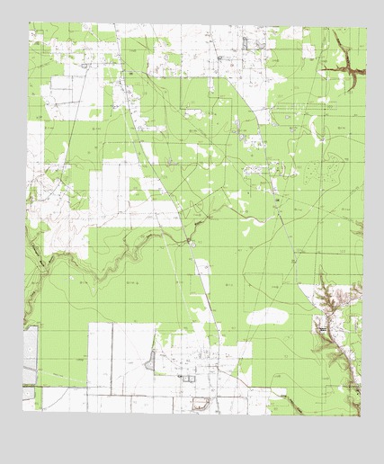 Simmons Bottom, TX USGS Topographic Map