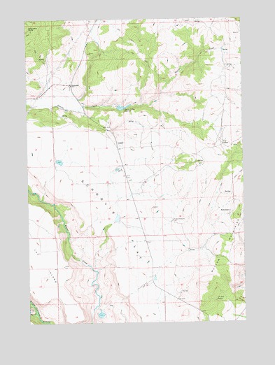 Simnasho, OR USGS Topographic Map