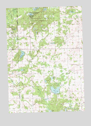 Skeels, MI USGS Topographic Map