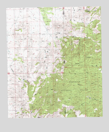 Skeleton Canyon, NM USGS Topographic Map