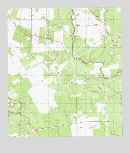 Skidmore NE, TX USGS Topographic Map